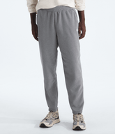 Men’s Glacier Fleece Pants TNF Mid Grey Heather