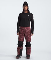 Men’s Summit Series Verbier GORE-TEX® Bibs Alpine Plum Glacial Fracture Print