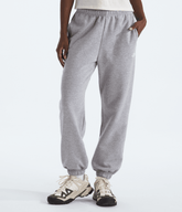 Women’s Evolution Simple Dome Regular Pants TNF Pale Grey Heather
