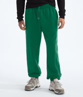 Men’s TNF™ Essential Simple Dome Relaxed Pants Evergreen/Evergreen