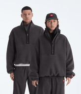 TNF™ Red Box ½-Zip Fleece Obsidian