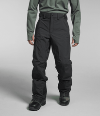 Men’s Freedom Pants Asphalt Grey