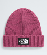 Kids’ TNF™ Box Logo Cuffed Beanie Cyber Berry