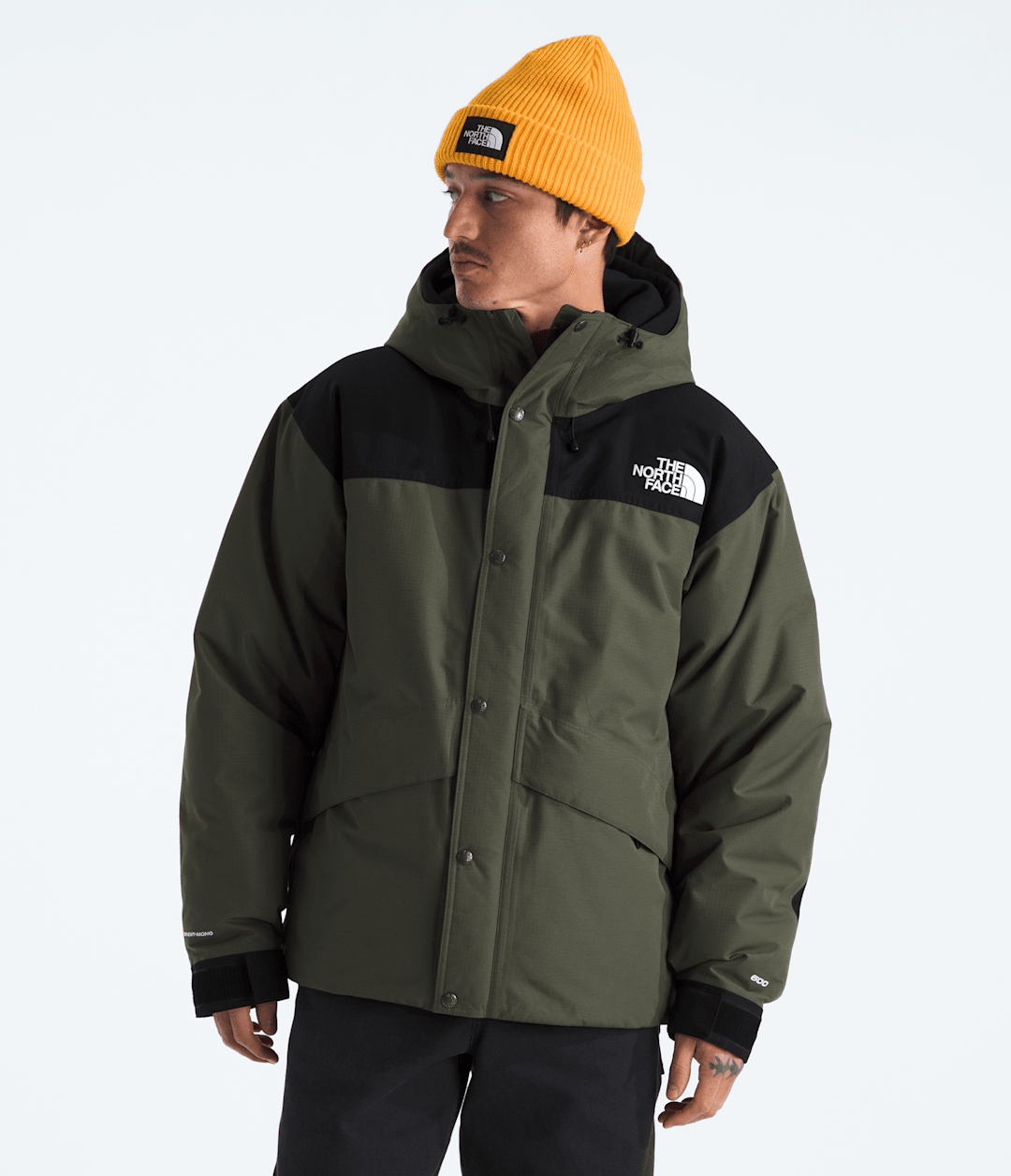 Men’s Mountain Down Jacket New Taupe Green/TNF Black
