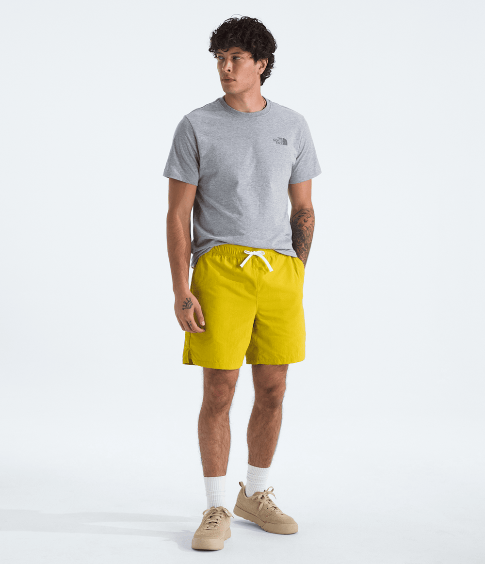 Men's Short Sleeve Core Celebration Box NSE Tee TNF Pale Grey Heather