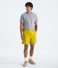 Men's Short Sleeve Core Celebration Box NSE Tee TNF Pale Grey Heather