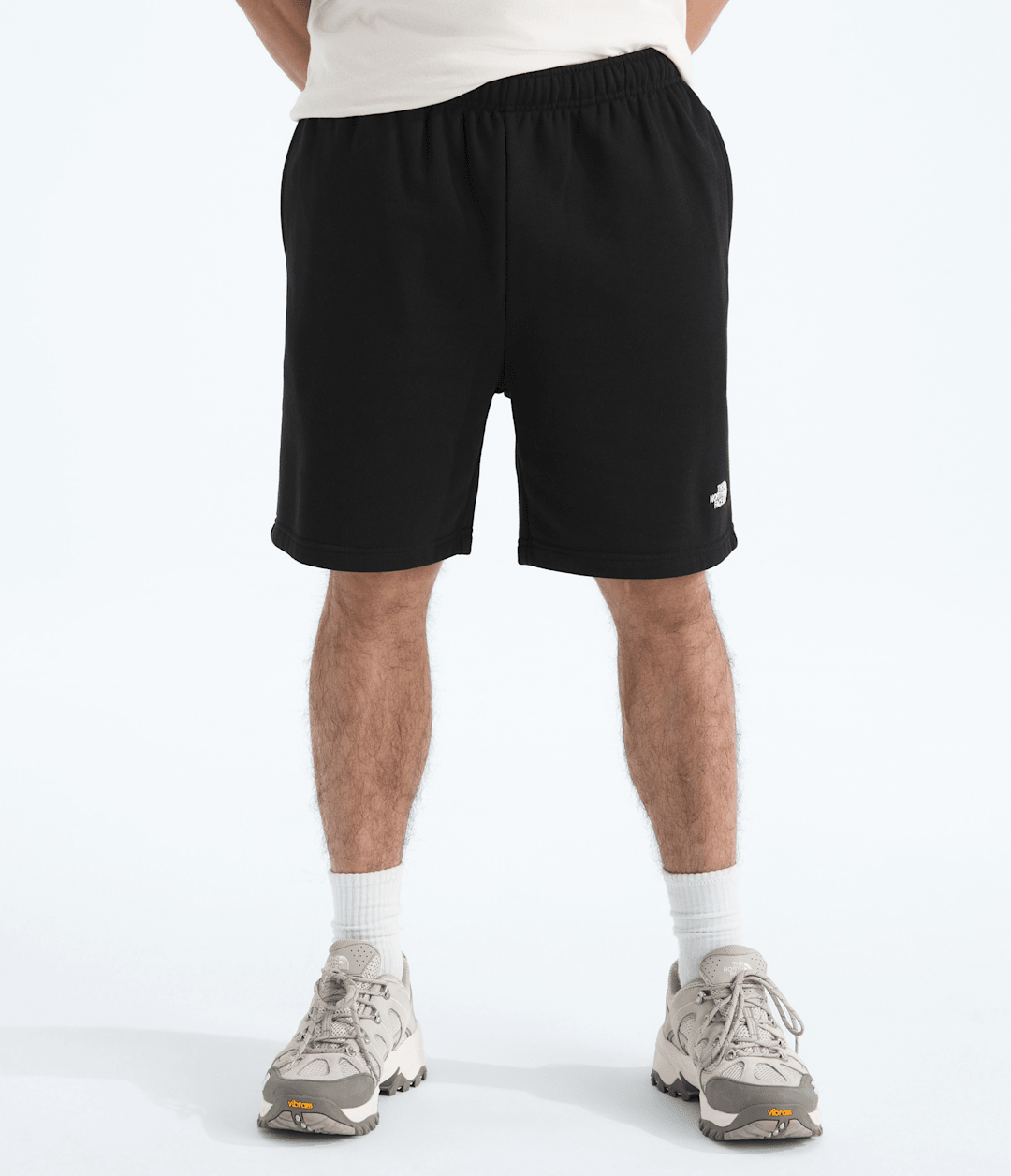 Men’s Evolution Simple Dome Regular Shorts TNF Black
