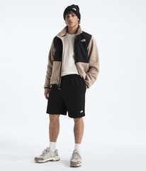 Men’s Evolution Simple Dome Regular Shorts TNF Black