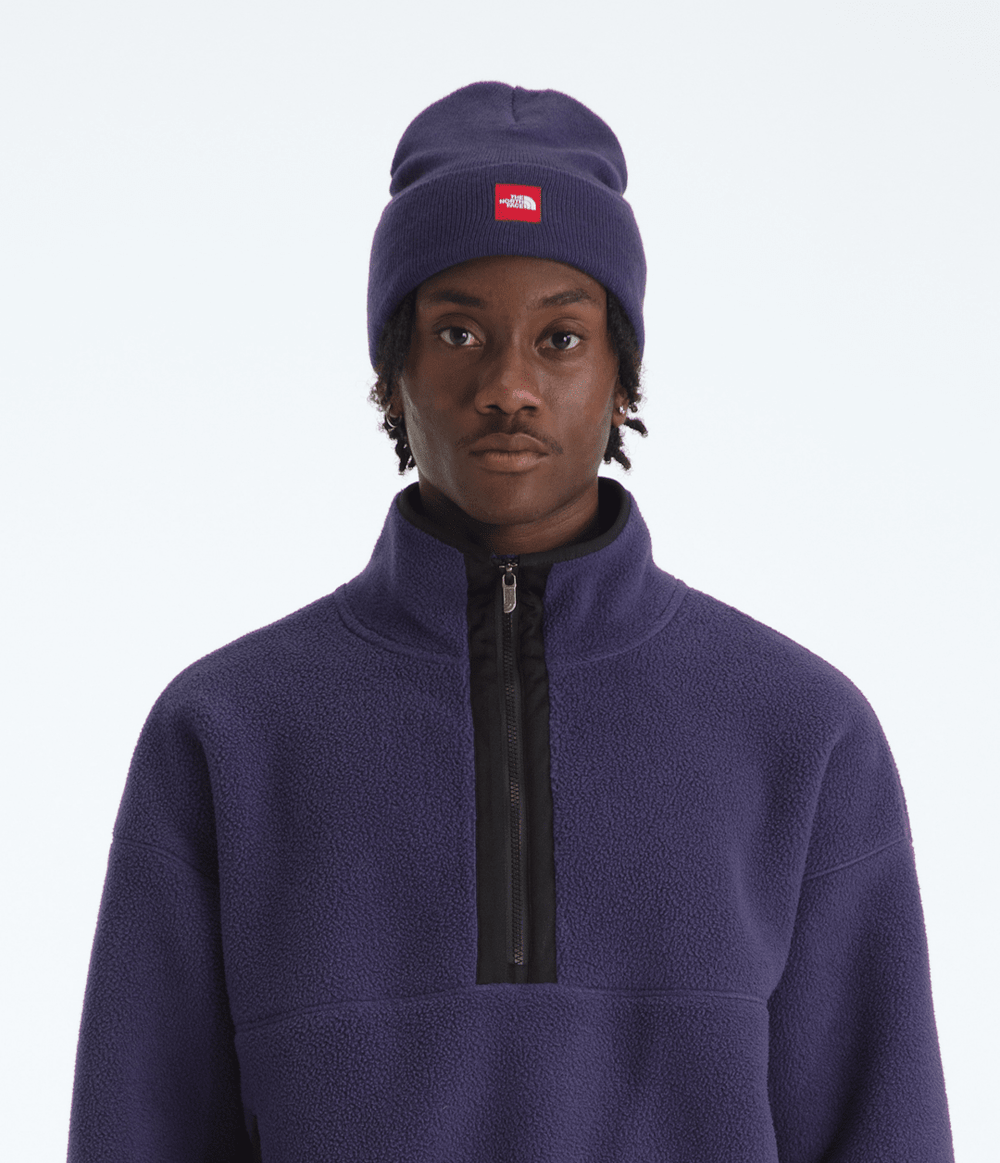 TNF™ Red Box Beanie Eternal Purple