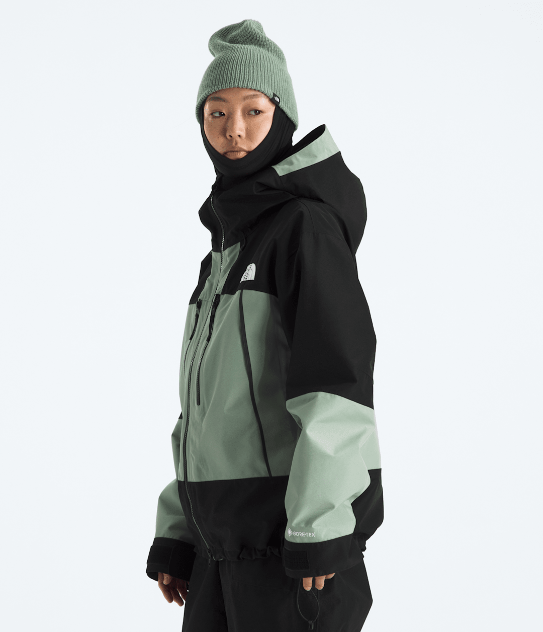 Women’s GORE-TEX® Hex Jacket Slate Moss/TNF Black