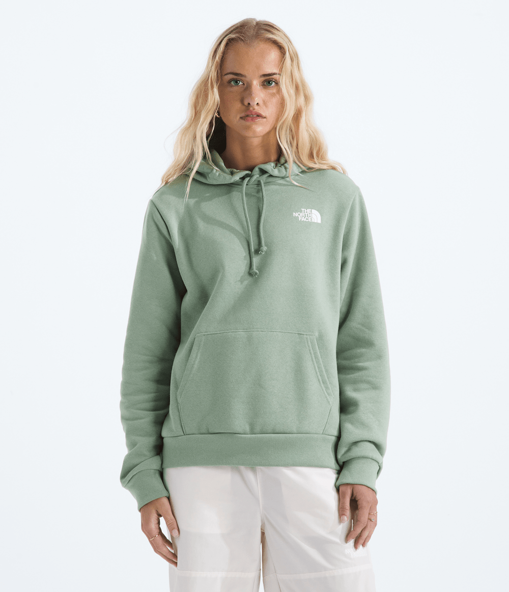 Women’s Evolution Box NSE Fill Hoodie—Graphic Slate Moss