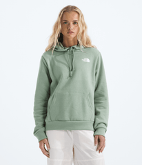 Women’s Evolution Box NSE Fill Hoodie—Graphic Slate Moss
