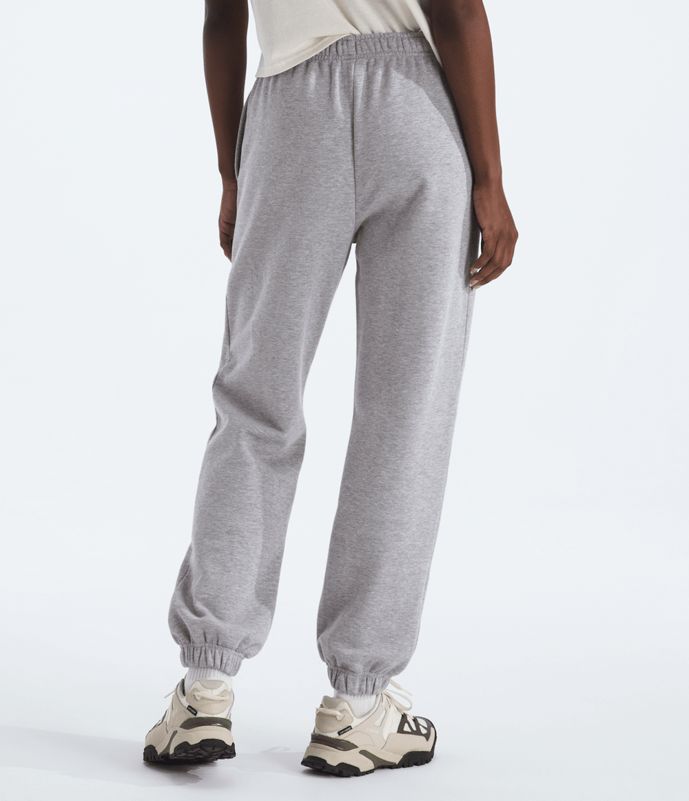 Women’s Evolution Simple Dome Regular Pants TNF Pale Grey Heather