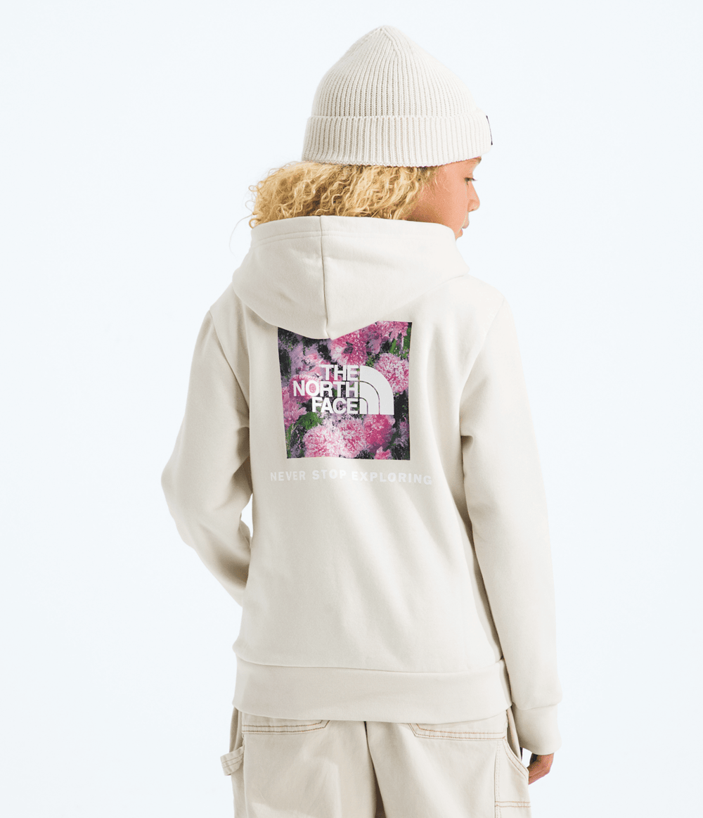 Boys’ & Girls’ Evolution Box NSE Pullover Hoodie—Graphic White Dune