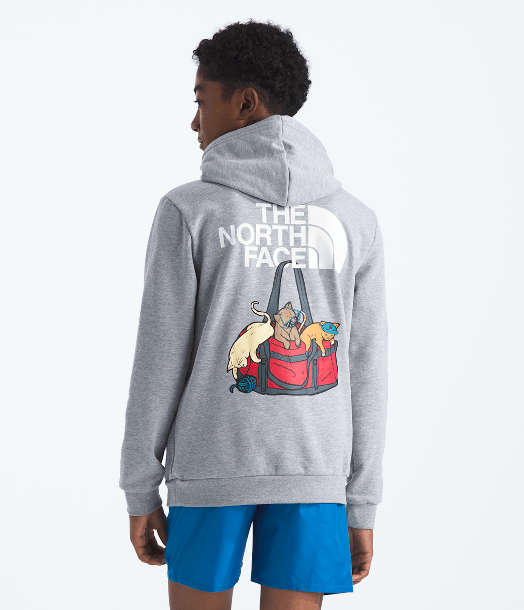Boys’ & Girls’ Ember Fade Regular Hoodie TNF Pale Grey Heather