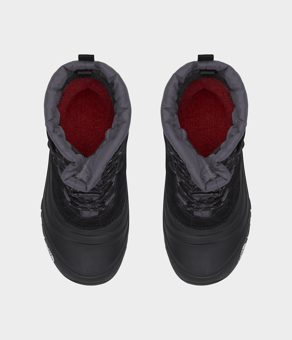 Youth Alpenglow V Waterproof Boots TNF Black/Vanadis Grey