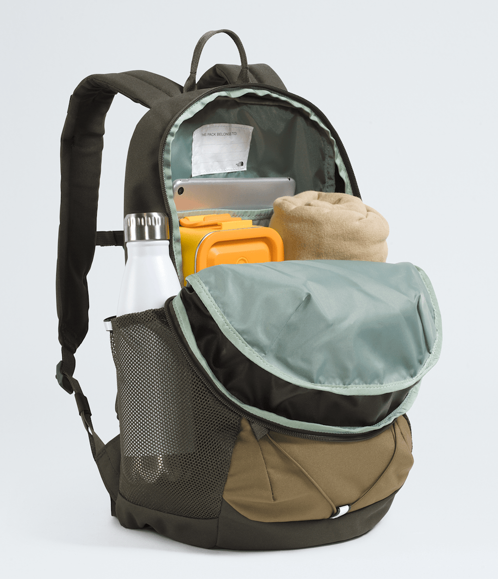 Youth Court Jester Backpack Cedar-New Taupe Green-Lava Red