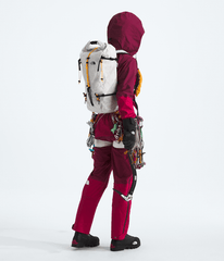Summit Series Advanced Mountain Kit 25L Pack TNF White/Summit Gold
