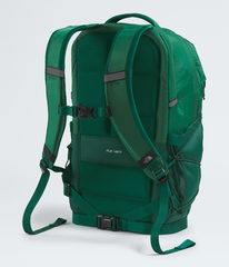 Borealis Backpack Evergreen/Hunter Green