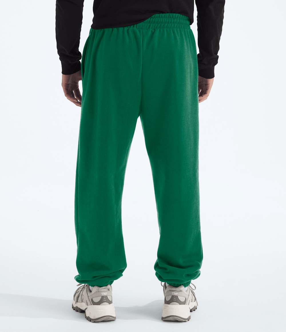 Men’s TNF™ Essential Simple Dome Relaxed Pants Evergreen/Evergreen