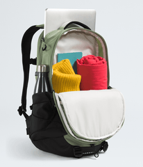 Borealis Backpack Bark Mist/TNF Black