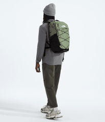 Borealis Backpack Bark Mist/TNF Black