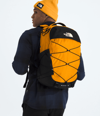 Borealis Backpack Summit Gold/TNF Black/TNF White