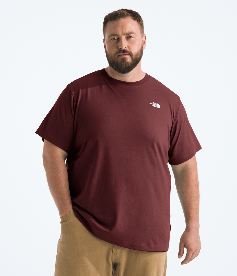 Men’s Big Evolution Simple Dome Short-Sleeve Tee Sumac