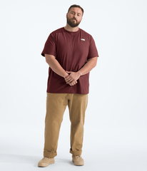 Men’s Big Evolution Simple Dome Short-Sleeve Tee Sumac