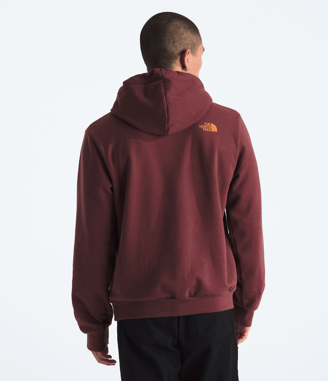 Men’s Evolution TNF™ MTN Hoodie—Graphic Sumac