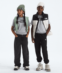 Boys’ & Girls’ Evolution Half Dome Short-Sleeve Tee TNF Pale Grey Heather