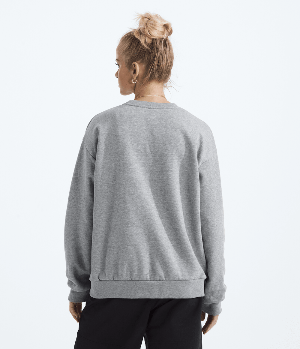 Women’s Evolution Simple Dome Oversized Crew TNF Pale Grey Heather