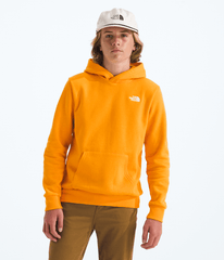 Boys’ & Girls’ Evolution Simple Dome Pullover Hoodie Summit Gold