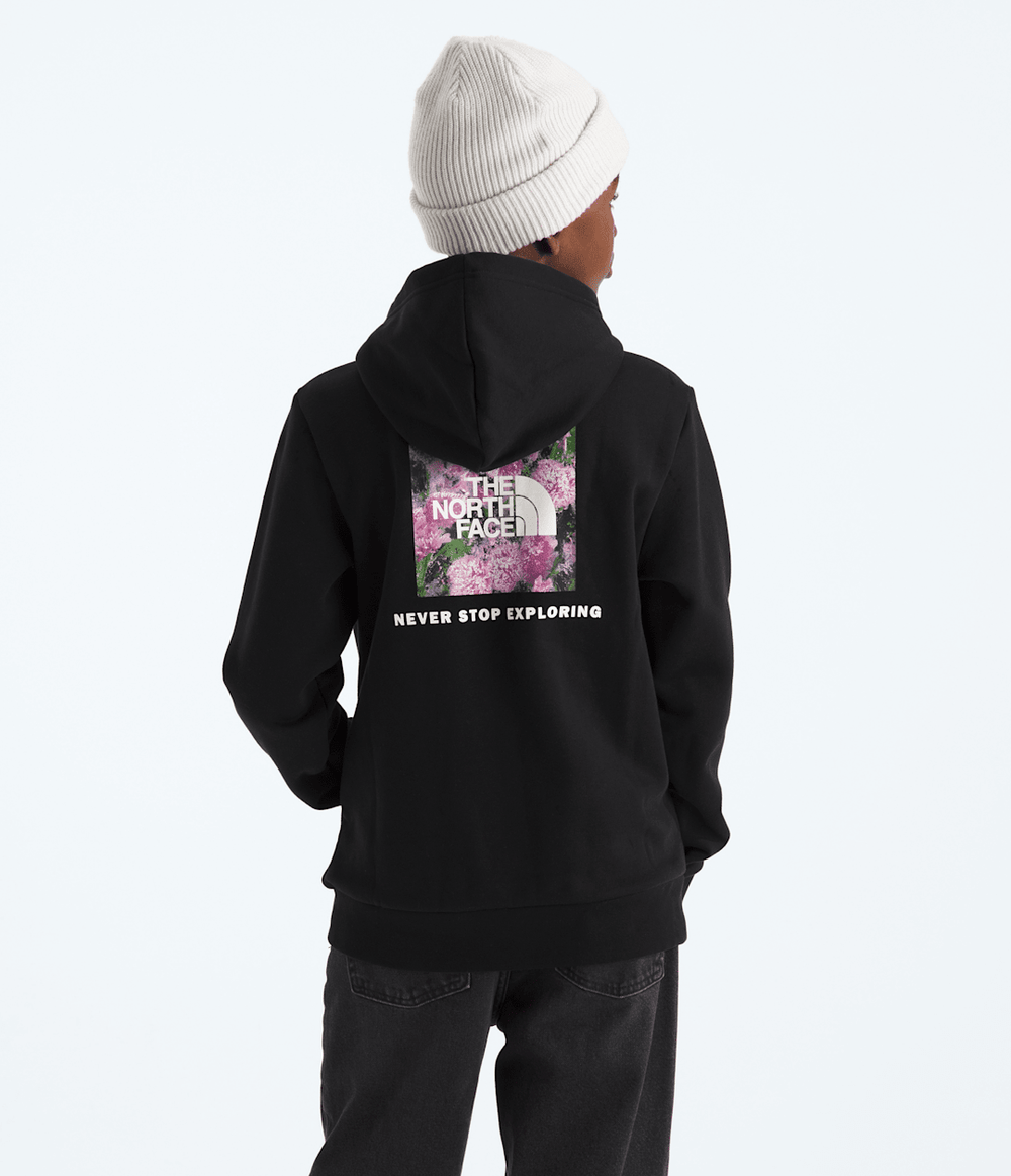 Boys’ & Girls’ Evolution Box NSE Pullover Hoodie—Graphic TNF Black
