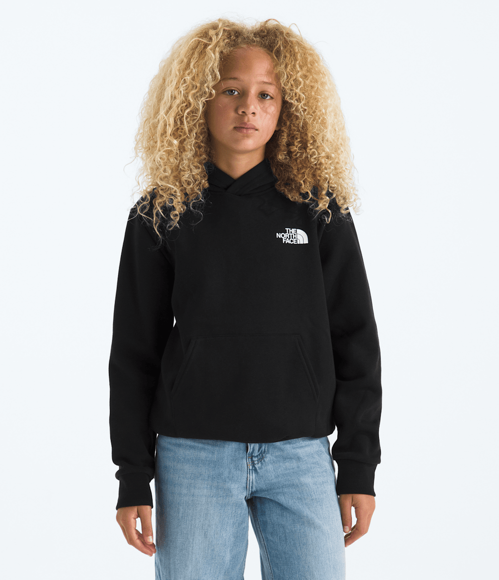 Boys’ & Girls’ Evolution Box NSE Pullover Hoodie—Graphic TNF Black
