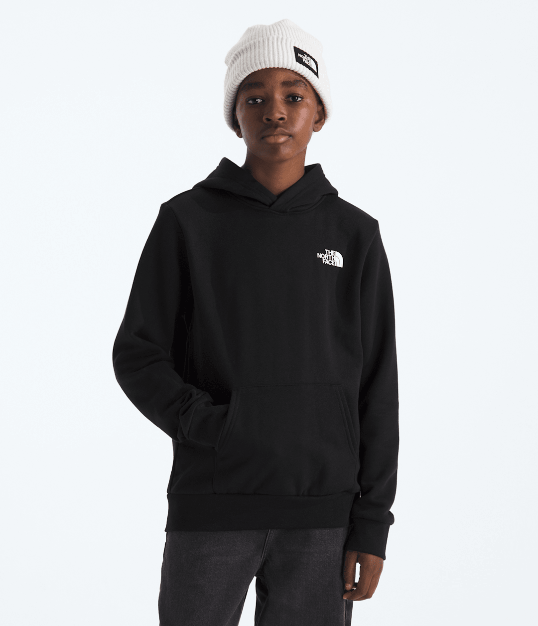 Boys’ & Girls’ Evolution Box NSE Pullover Hoodie—Graphic TNF Black