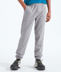 Boys’ & Girls’ Evolution Simple Dome Pants TNF Pale Grey Heather