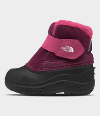 Toddler Alpenglow II Boots Boysenberry/TNF Black
