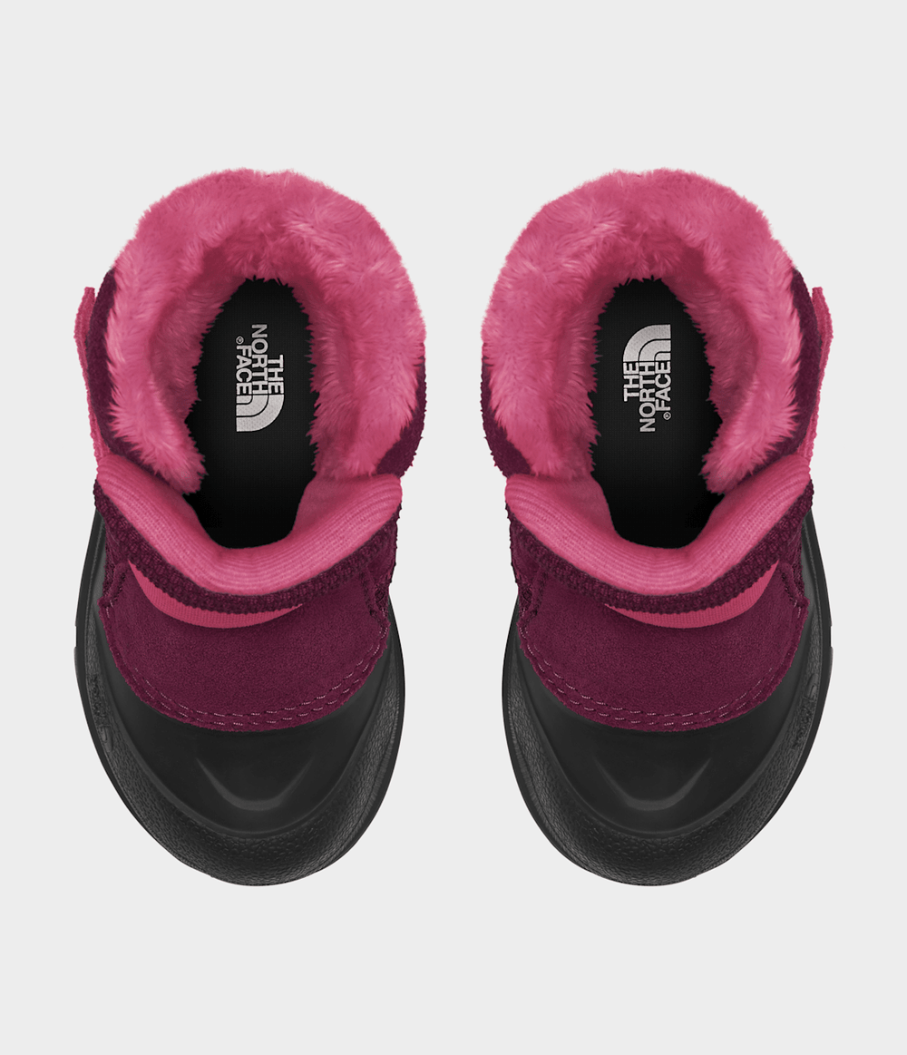 Toddler Alpenglow II Boots Boysenberry/TNF Black